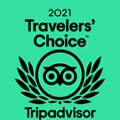 tripadvisor 2021 travellers choice award